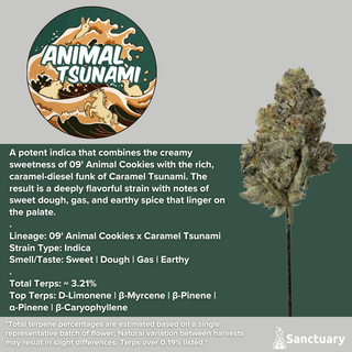 Animal Tsunami Sanctuary
