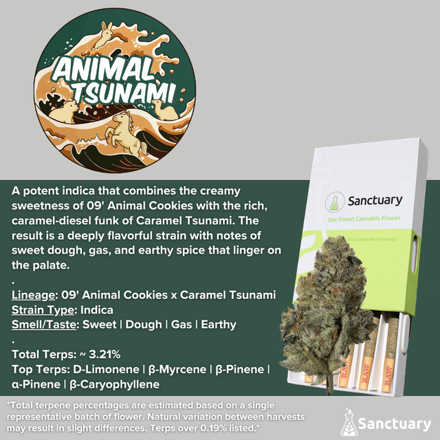 Animal Tsunami Sanctuary