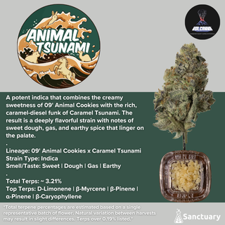 Animal Tsunami - Cured Resin Volcanna