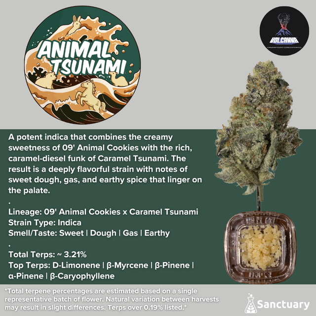 Baller Jar - Animal Tsunami - Cured Resin Volcanna