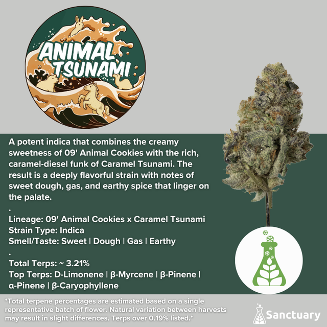 Animal Tsunami Sanctuary
