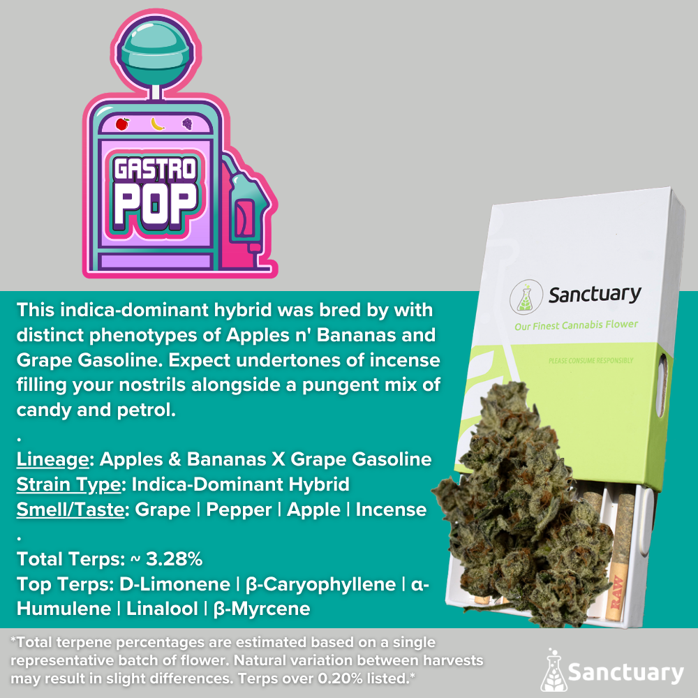 Gastro Pop