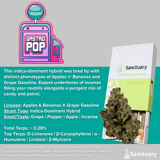 Gastro Pop Sanctuary