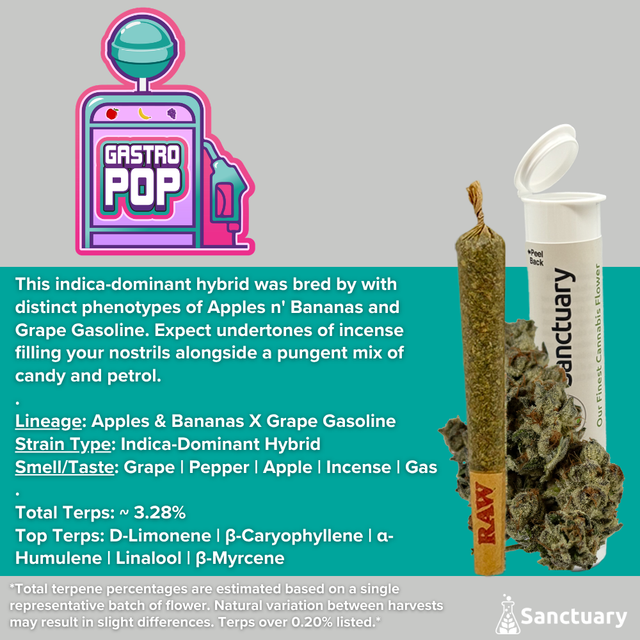 Gastro Pop Sanctuary