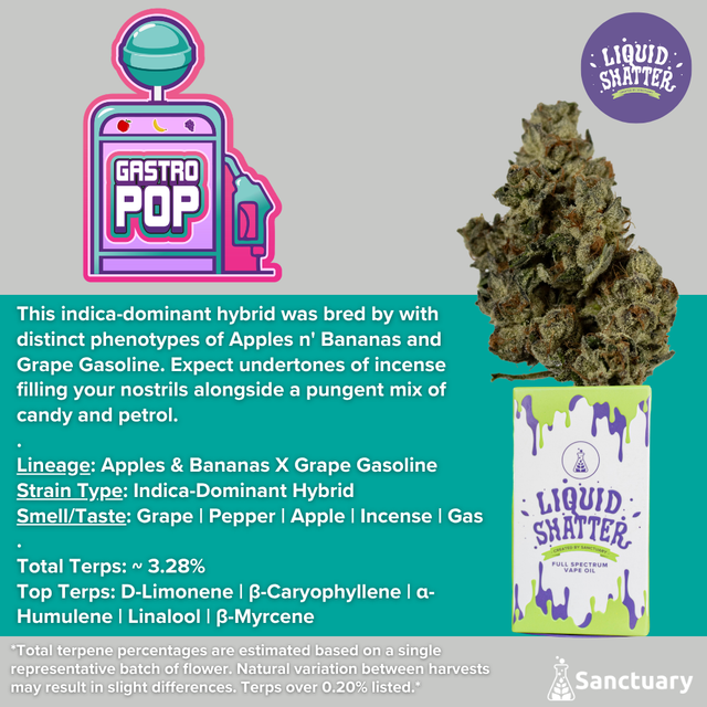 Gastro Pop Liquid Shatter