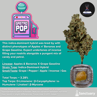 Gastro Pop - Cured Resin Volcanna