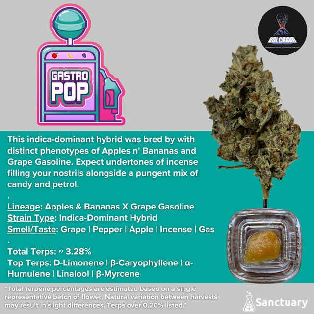 Gastro Pop - Cured Resin Volcanna