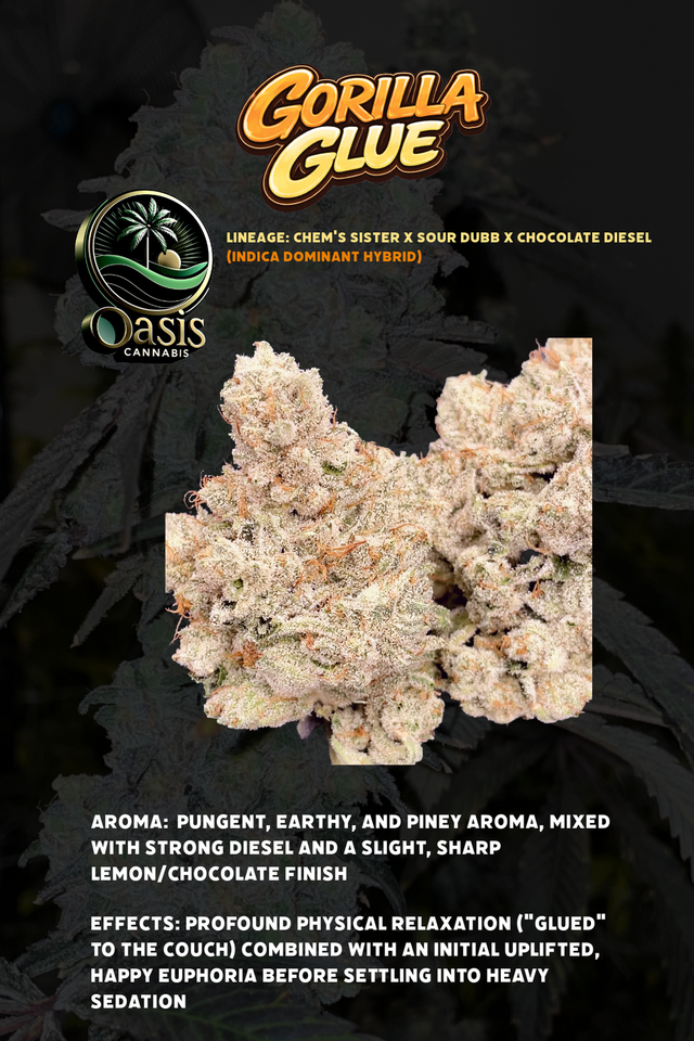 Gorilla Glue Oasis Cannabis