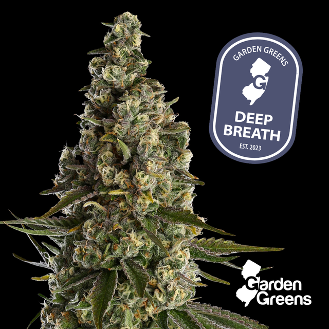 Deep Breath Garden Greens Deep Breath Garden Greens