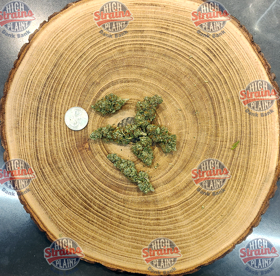 High Plainz Higher Shelf All Gas OG Bulk