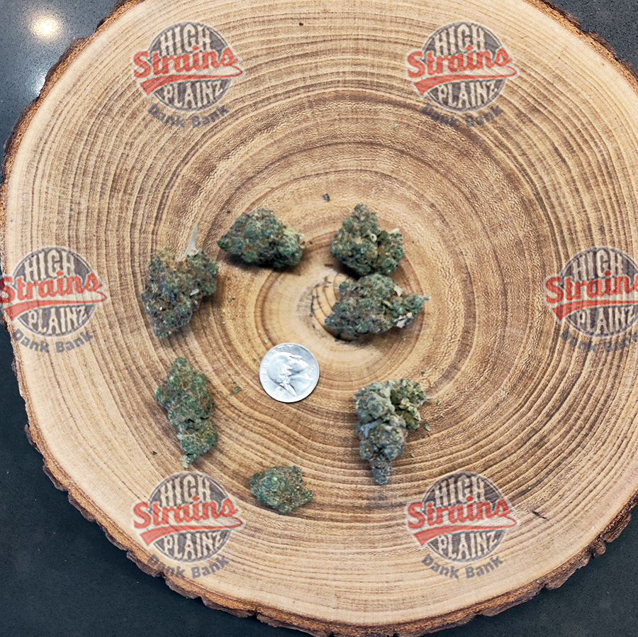 High Plainz Higher Shelf Gelato 41 Bulk