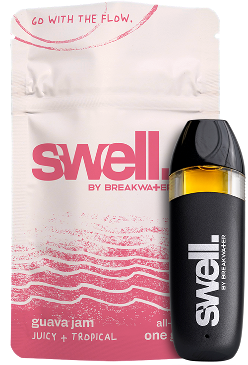 Guava Jam Swell by Breakwater Guava Jam Swell by Breakwater