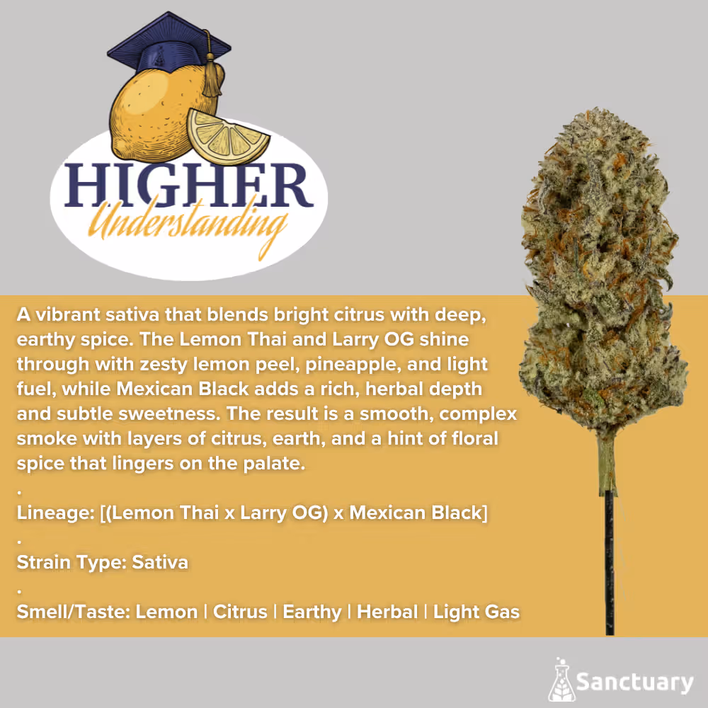 Higher Understanding Sanctuary