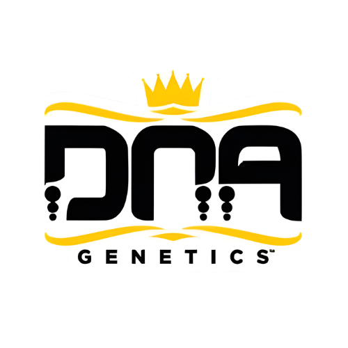 Blue Dream DNA Genetics