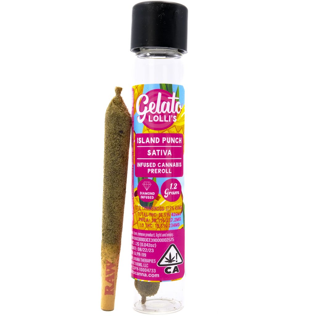 Gelato — Island Punch Lollis