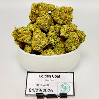 Golden Goat Natty Rems