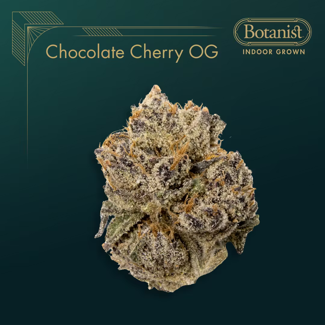 Chocolate Cherry OG Botanist