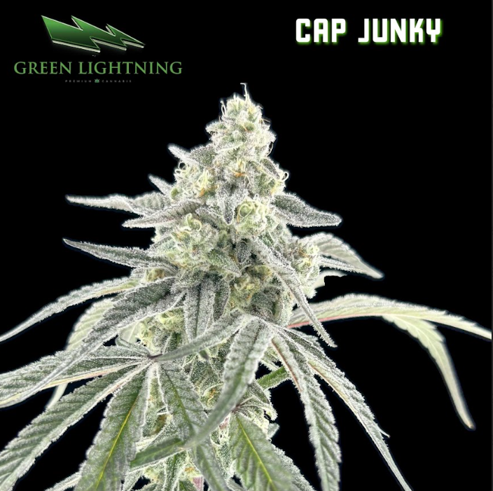 Cap Junky