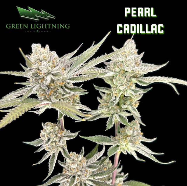 Pearl Cadillac Green Lightning Pearl Cadillac Green Lightning