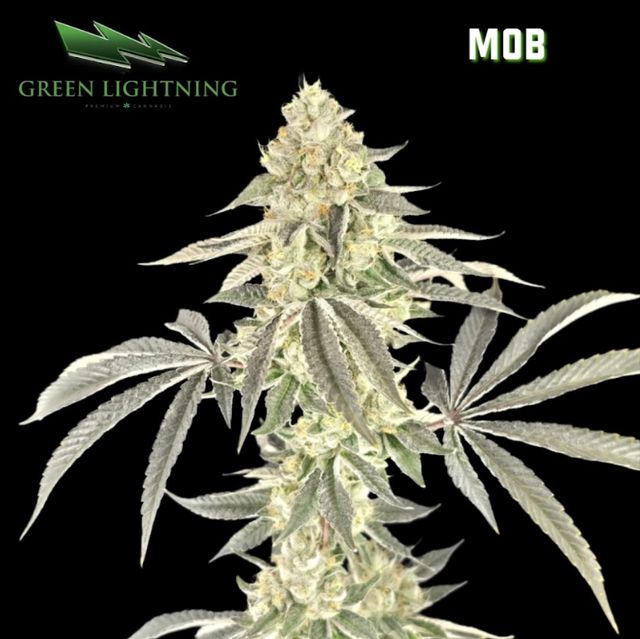 M.O.B Green Lightning
