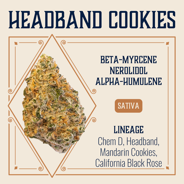 Headband Cookies Elevate