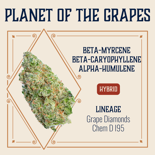 Planet of the Grapes Elevate