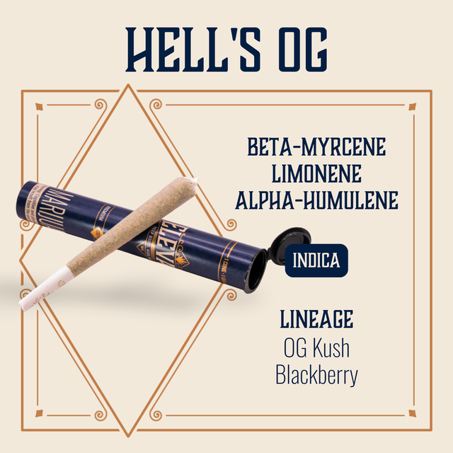 Headband Cookies Elevate