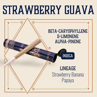 Cannabis Promo, Cannabis Sales, Cannabis Discounts, Cannabis on Sale, $10 Elevate 1g Pre-Rolls 1