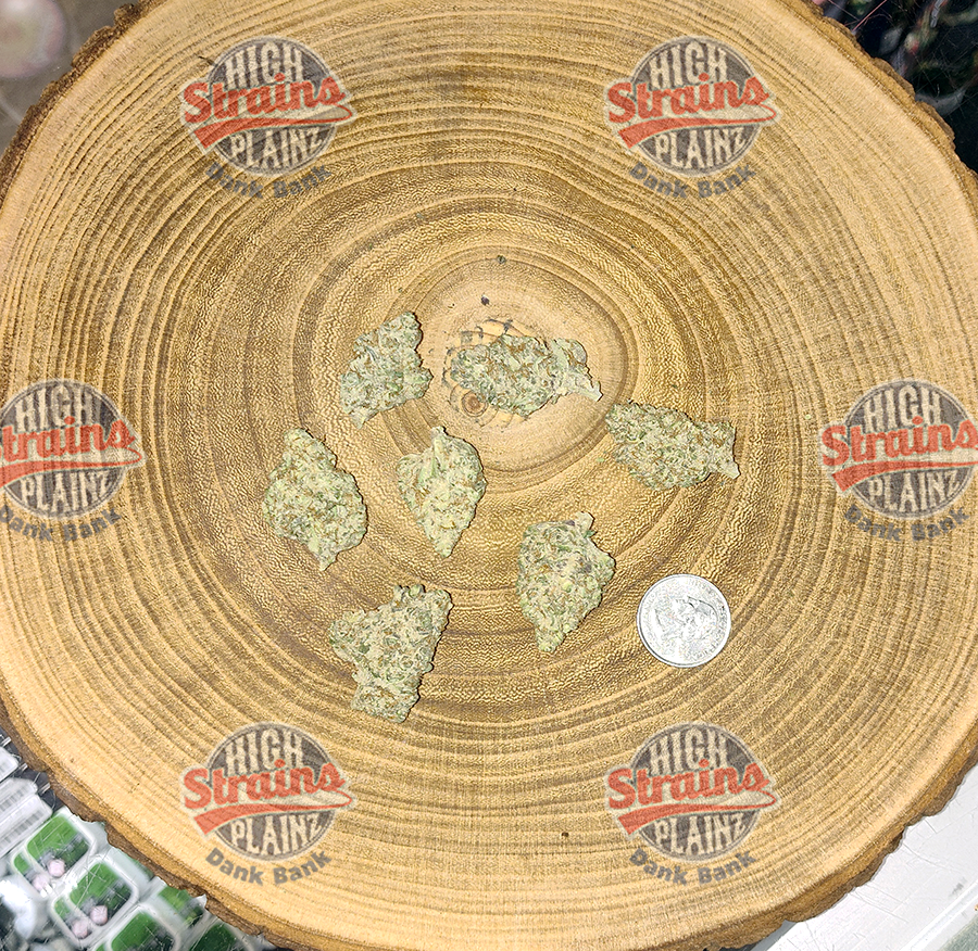 High Plainz Purple PW Frosty Blue OG Bulk PW