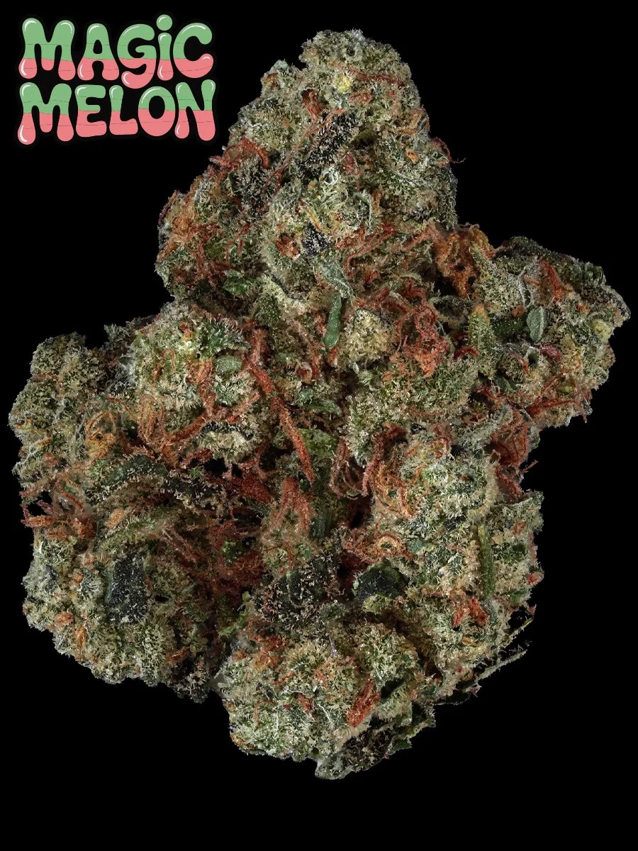 Magic Melon Prolific Grow House