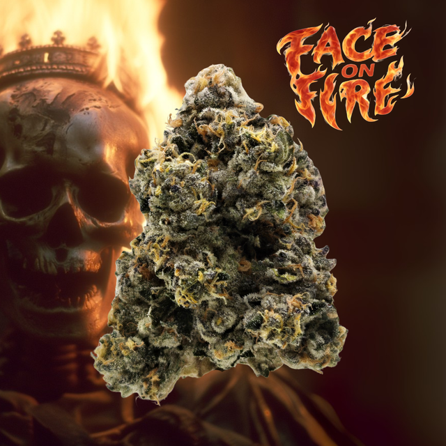 Face on Fire Legacy