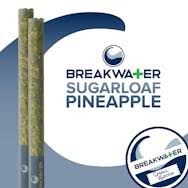 Sugarloaf Pineapple Breakwater Sugarloaf Pineapple Breakwater