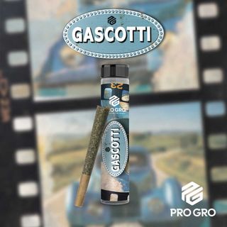 Gascotti Pro Gro
