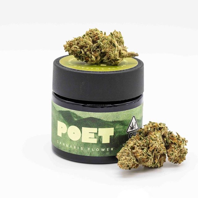 Ruby Violet POET