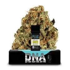 Super Lemon Haze Plug Play