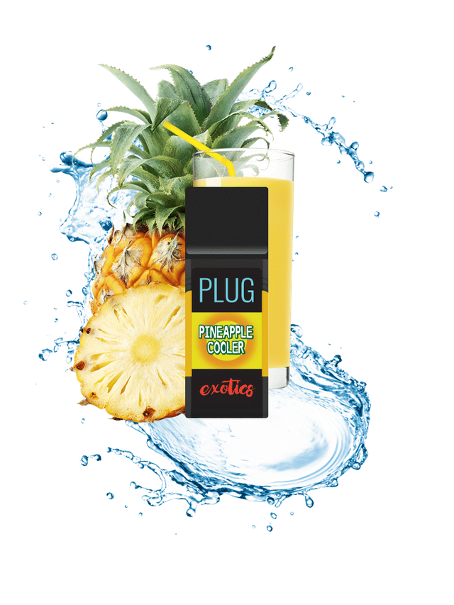 Pineapple Cooler Plug Play