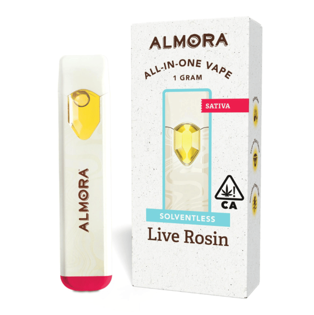Dutch Treat Almora
