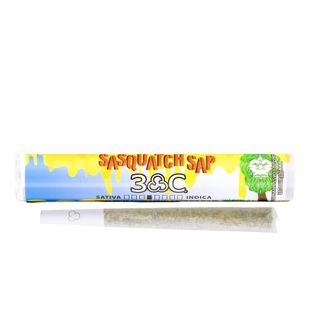 Sasquatch Sap 3C