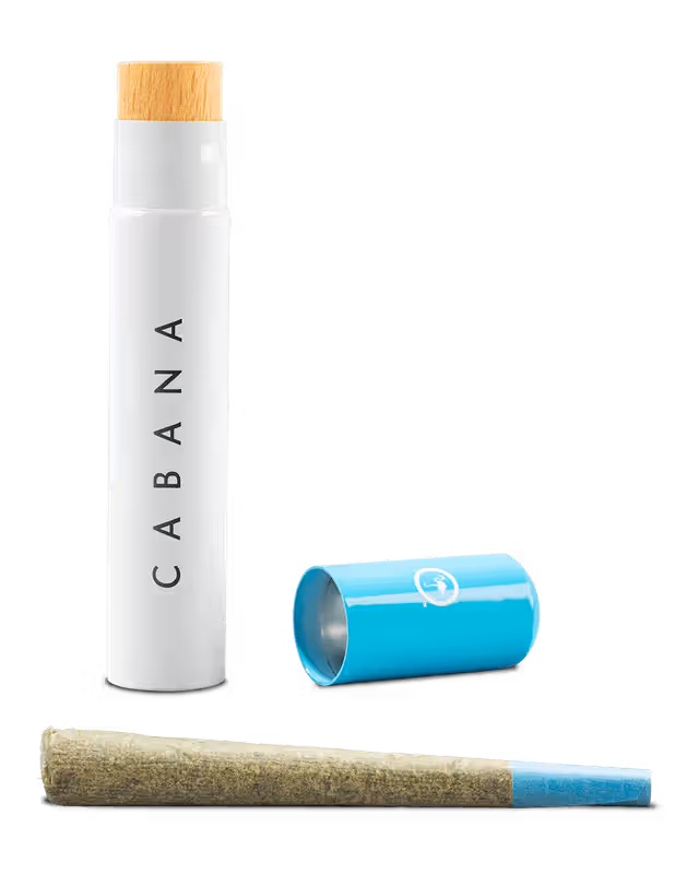 Blue Dream Cabana