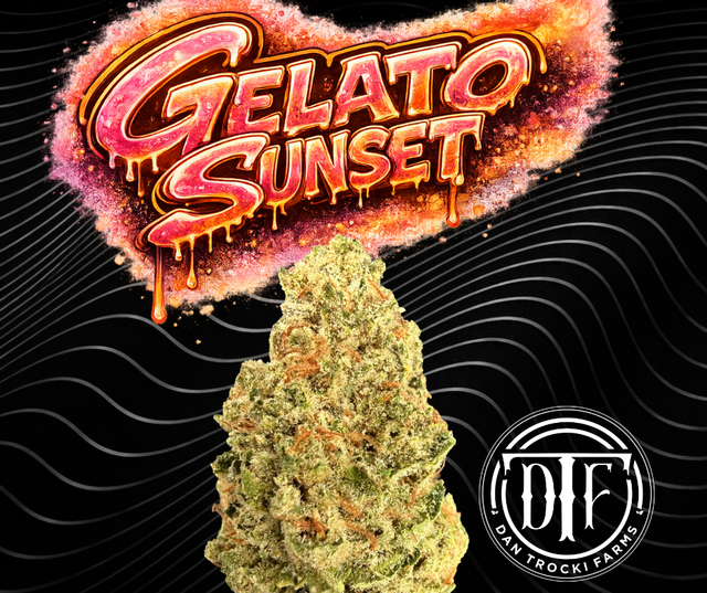 Gelato Sunset DTF