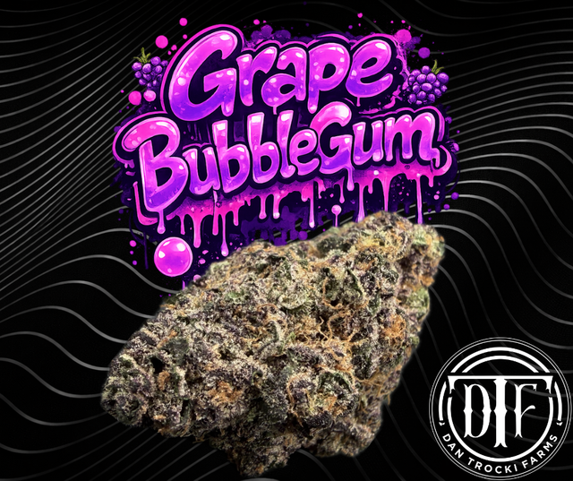 Grape Bubblegum  DTF