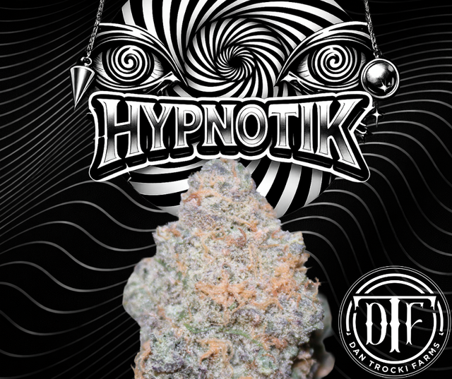 Hypnotik DTF