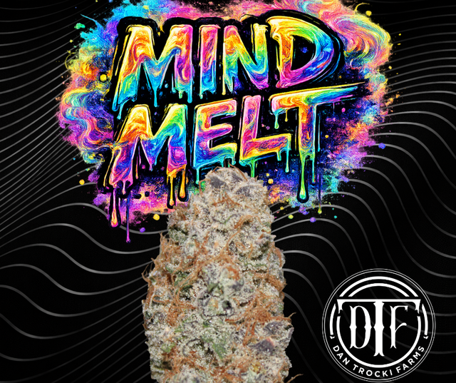 Mind Melt DTF