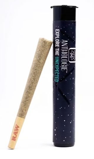Purple Punch Anthologie