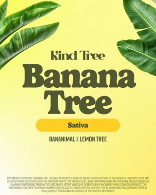 Banana Tree Flower Kind Tree