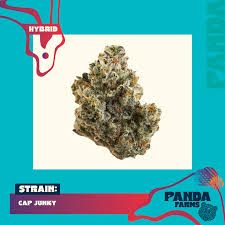 Cap Junky Panda Farms