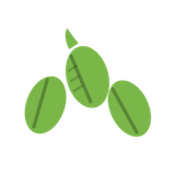 Buy Seeds Cannabis