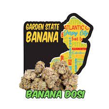 Banana Dosi Garden State Banana