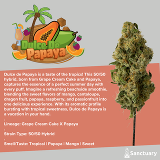 Dulce de Papaya Sanctuary