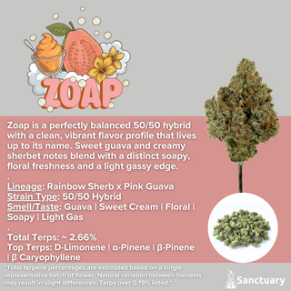 Zoap Sanctuary
